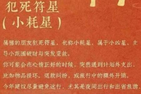 属猪算命,属猪人运程