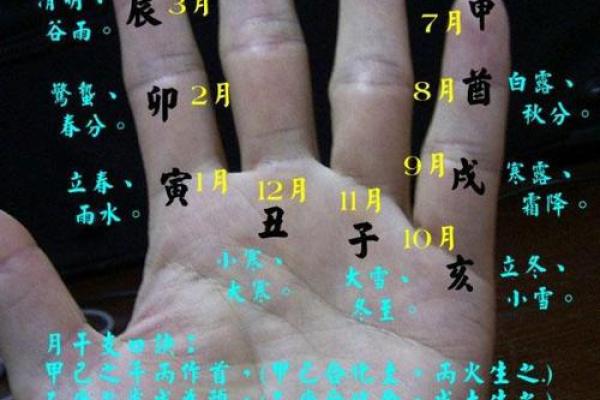 手指斗算命 手上有几个斗适合当老板