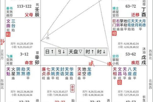 紫薇斗数详解软件