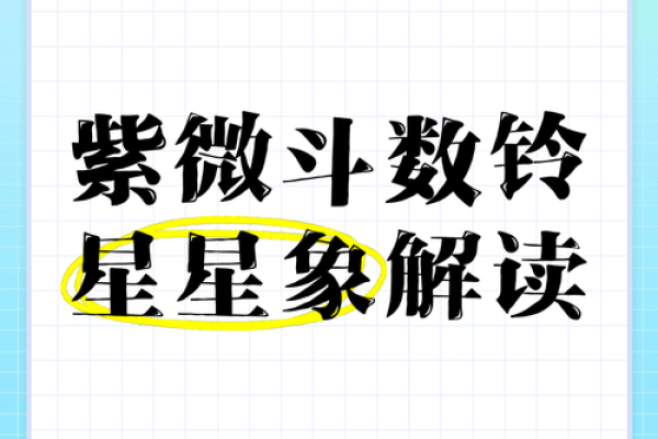 紫薇斗数星象不好 紫薇斗数星象不好