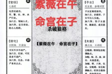紫微斗数八坐代表什么 紫微斗数八座在命宫？