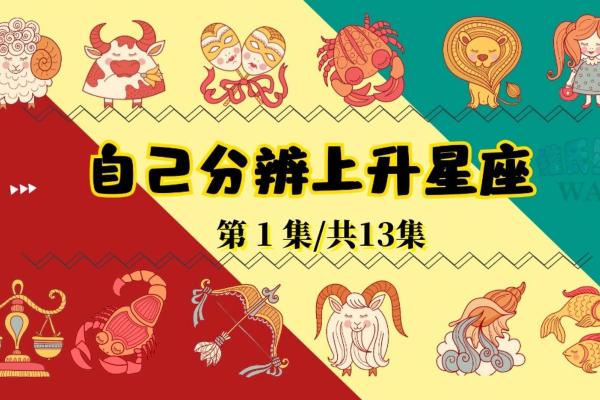 第一星座网每日运势查询_上升星座查询