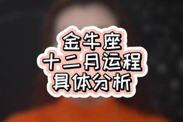 金牛座12月运势_金牛座年12月运势