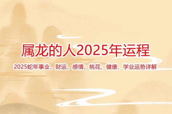 1976年属龙2025年穿什么颜色_1976属龙人2025开运色彩指南全年穿搭旺运攻略 1976年属龙2025年穿什么颜色_1976属龙人2025开运色彩指南全年穿搭旺运攻略