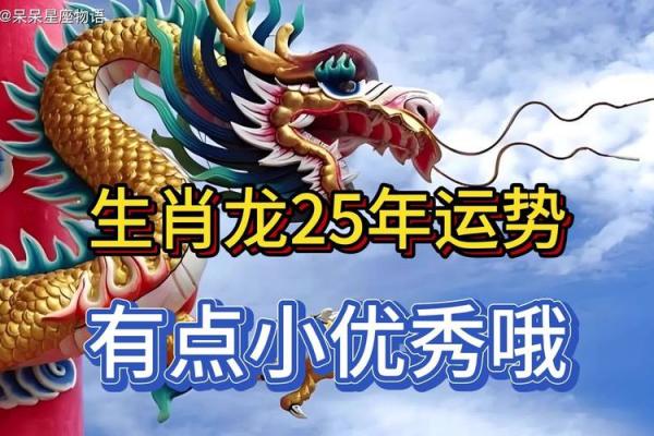 1976年属龙2025年穿什么颜色_1976属龙人2025开运色彩指南全年穿搭旺运攻略 1976年属龙2025年穿什么颜色_1976属龙人2025开运色彩指南全年穿搭旺运攻略