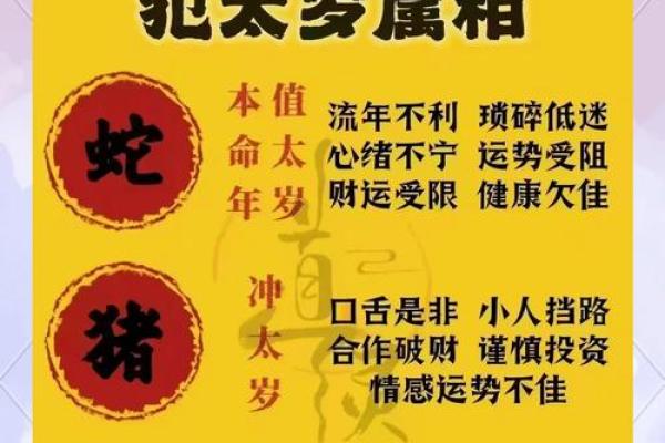 2025属龙全年幸运色指南每月开运色彩助运势 2025属龙全年幸运色指南每月开运色彩助运势