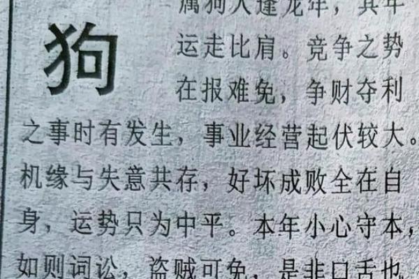 2024年属狗星座运势查询全年运势详解与提升指南 2024年属狗星座运势查询全年运势详解与提升指南