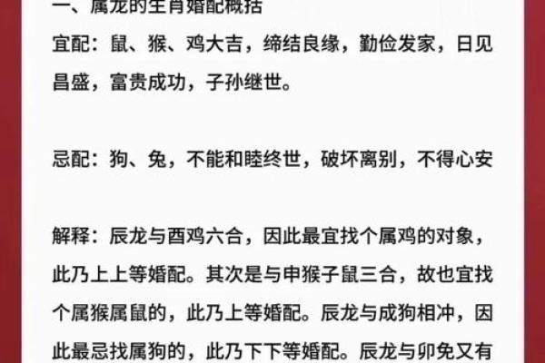 属龙今年运势 2024年属龙运势全解析全年每月运程完整指南 属龙今年运势 2024年属龙运势全解析全年每月运程完整指南