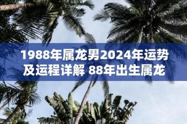 88年属龙运势 88年属龙运势怎么样 88年属龙运势 88年属龙运势怎么样