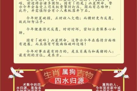 2000年属龙2024年运势及运程_2000年属龙人2024年每月运势详解全年运程全解析