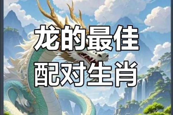 属龙2000年女上等婚配 00年属龙女金秋十月上等姻缘配对指南 属龙2000年女上等婚配 00年属龙女金秋十月上等姻缘配对指南