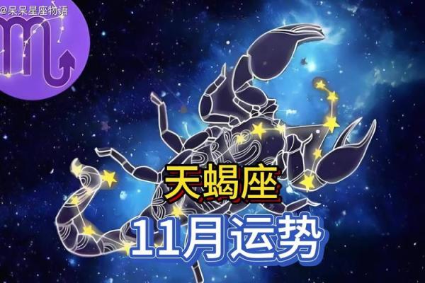 2025星座运势天蝎 2025年天蝎座运势解析事业爱情双丰收 2025星座运势天蝎 2025年天蝎座运势解析事业爱情双丰收