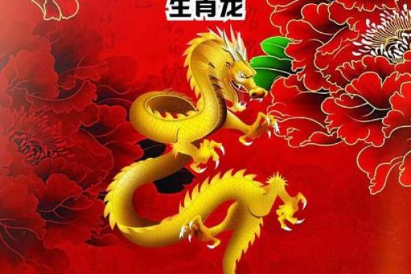 1988年属龙2024全年运势_2028年属龙全年运势 1988年属龙2024全年运势_2028年属龙全年运势