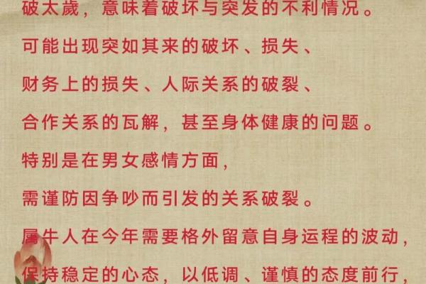 2024属龙每月运势运程详解 2024年属龙逐月运势详解全年十二个月运程完整解析 2024属龙每月运势运程详解 2024年属龙逐月运势详解全年十二个月运程完整解析