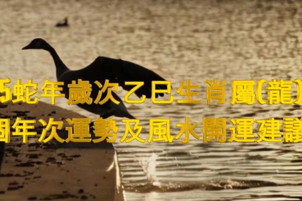 1988年腊月二十八属龙还是属蛇 1988年腊月二十八属龙还是属蛇