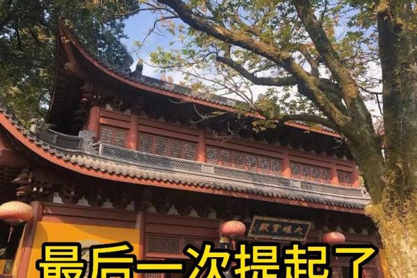 1976年属龙男人的感情_76龙男50左右婚姻危机