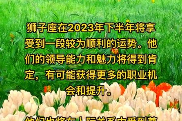 2023星座运势 2023星座运势完整版 2023星座运势 2023星座运势完整版