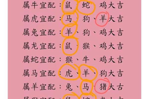 属狗和属龙相配吗_属马的和属鼠的合吗