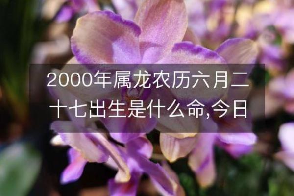 2000年属龙的人命运如何 2000年 属龙