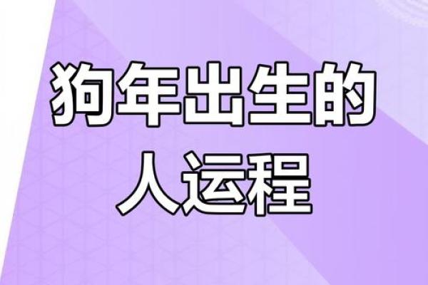 2025年属狗运势详解财运事业爱情全面解析 2025年属狗运势详解财运事业爱情全面解析