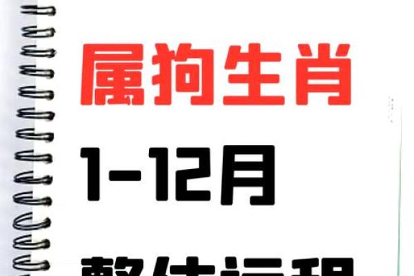 2025年属狗的多大年龄_1946年属狗的2025年多大 2025年属狗的多大年龄_1946年属狗的2025年多大