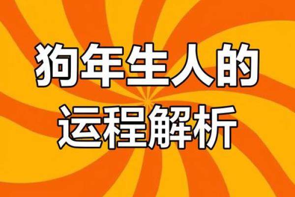 2025属狗女人全年运势1982_属狗人2025彻底大爆发 2025属狗女人全年运势1982_属狗人2025彻底大爆发
