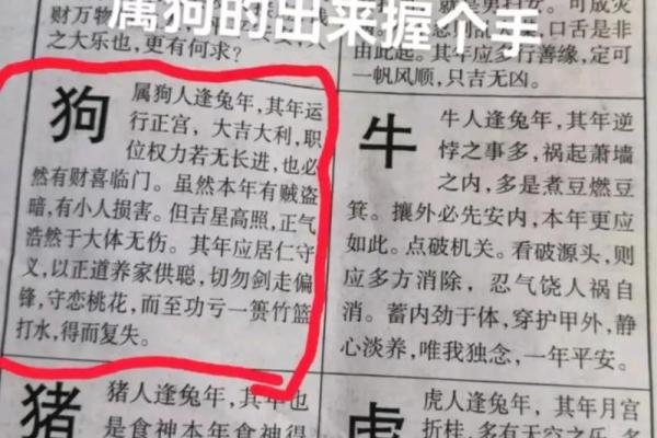 属狗的人今年多大年龄对照表一览 属狗的人今年多大年龄对照表一览