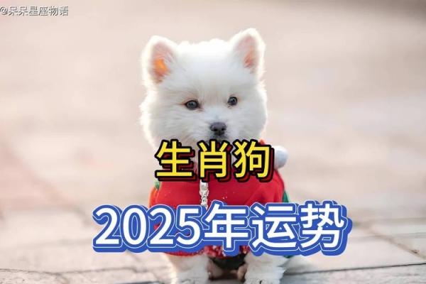 2006年狗五行属什么命_2006年狗五行属什么命缺什么 2006年狗五行属什么命_2006年狗五行属什么命缺什么