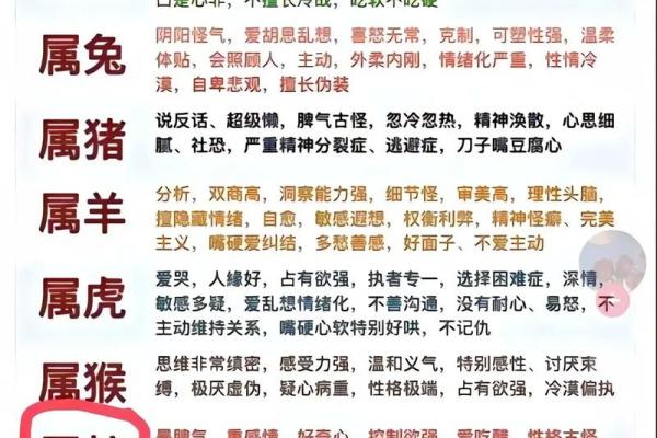 94年属狗男2024年运势和婚姻 2024年属狗男运势与婚姻解析94年出生者必看 94年属狗男2024年运势和婚姻 2024年属狗男运势与婚姻解析94年出生者必看