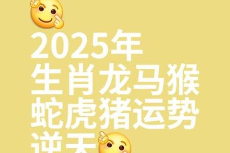1988年属龙的2025年运势 1988属龙人2025年运势全解析逐月运程精准预测