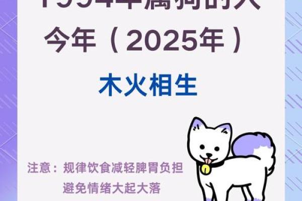 1994年2024年属狗人的全年运势_1994年属狗人2024年运势运程 1994年2024年属狗人的全年运势_1994年属狗人2024年运势运程