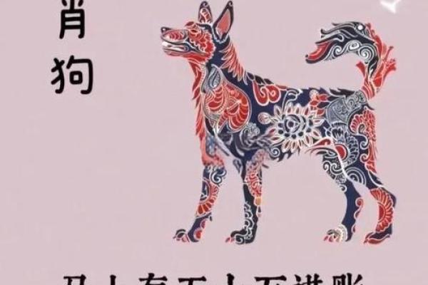 2025年属狗男1982年出生全年运势详解 2025年属狗男1982年出生全年运势详解