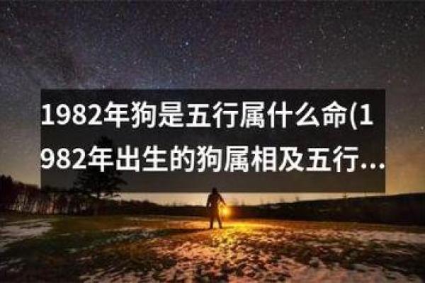 1982年属狗的最佳配偶属相 1982年属狗最佳配偶属相揭秘幸福婚姻指南 1982年属狗的最佳配偶属相 1982年属狗最佳配偶属相揭秘幸福婚姻指南