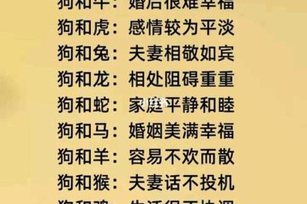 1982年属狗的最佳配偶属相 1982年属狗最佳配偶属相揭秘幸福婚姻指南 1982年属狗的最佳配偶属相 1982年属狗最佳配偶属相揭秘幸福婚姻指南