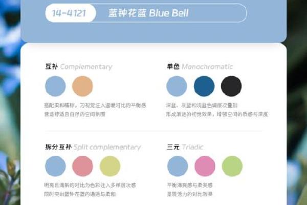 2025龙年开运色全解析全年幸运色彩指南