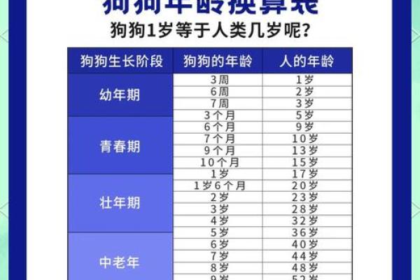 属狗年份表及年龄对照详细解析与查询指南 属狗年份表及年龄对照详细解析与查询指南