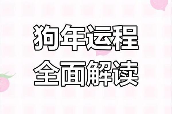 2025年属狗的今年多少岁_属狗2025年属狗每月运势和运 2025年属狗的今年多少岁_属狗2025年属狗每月运势和运