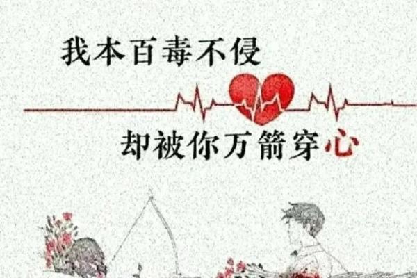 一厢情愿指什么生肖(一厢情愿的意思是什么)