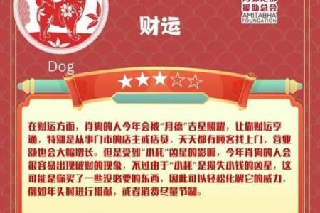 属狗人今天的财运偏财_属狗人今日偏财运解析如何抓住财富机遇