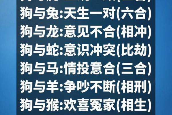 帮狗吃食是什么生肖(帮狗吃食是什么生肖动物) 帮狗吃食是什么生肖(帮狗吃食是什么生肖动物)