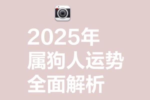 属狗的2025年运势 属狗的2025年运势如何 属狗的2025年运势 属狗的2025年运势如何