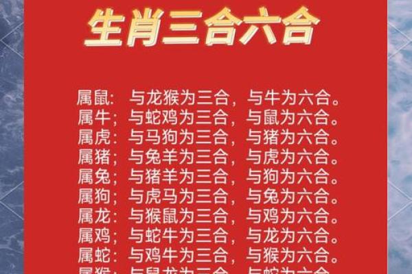 属狗蛇年运势解析2023年运势如何 属狗蛇年运势解析2023年运势如何