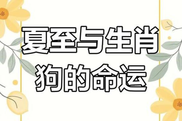1994年属狗的婚姻与命运_1994年的生肖狗的婚姻及运程 1994年属狗的婚姻与命运_1994年的生肖狗的婚姻及运程