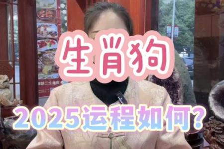 2025属狗的人运势怎么样_2025年属狗人运势详解财运事业感情全解析