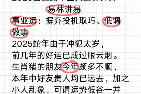 属狗的2025犯太岁吗_属猪的2023年犯太岁吗 属狗的2025犯太岁吗_属猪的2023年犯太岁吗