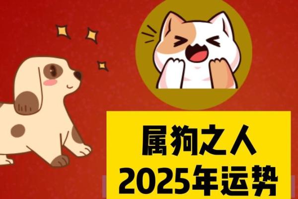 1982年属狗今年多大了_1982年属狗今年多大2023年运势解析 1982年属狗今年多大了_1982年属狗今年多大2023年运势解析
