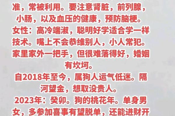 1982年属狗人40岁到49岁运程 1982属狗人39岁到49岁运程 1982年属狗人40岁到49岁运程 1982属狗人39岁到49岁运程