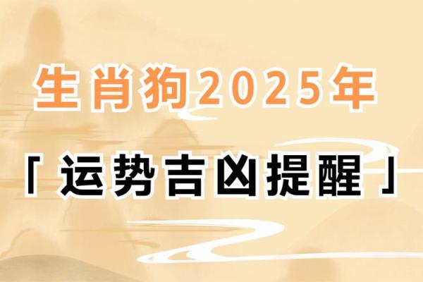 1982年属狗人40岁到49岁运程 1982属狗人39岁到49岁运程 1982年属狗人40岁到49岁运程 1982属狗人39岁到49岁运程