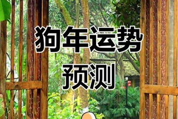 2025年属狗运势详解财运事业感情全解析 2025年属狗运势详解财运事业感情全解析