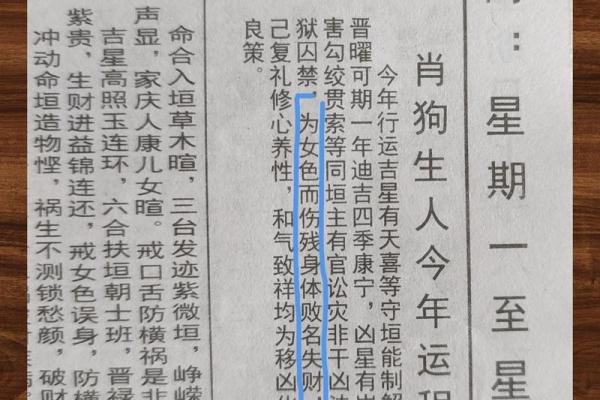 1994年属狗男2025年运势与婚姻解析 1994年属狗男2025年运势与婚姻解析